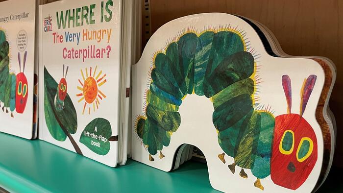 NextImg:Canadian School Purges Books Published Before 2008 In Bid For 'Inclusivity'