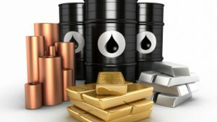 NextImg:The Hard-Asset Inflation / Paper-Asset Deflation Theory