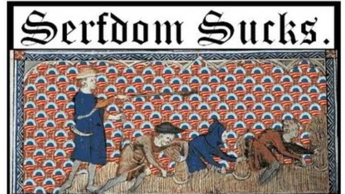 NextImg:We're Living In A Neofeudal Bubble