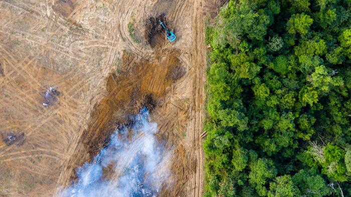 NextImg:Majority Of Carbon Offset Projects Globally Are "Likely Junk"