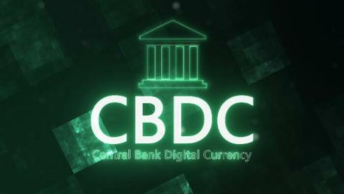 NextImg:How A CBDC Created Chaos & Poverty In Nigeria