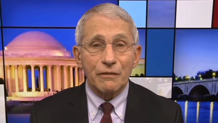 NextImg:American Pandemic 'Samizdat': Bhattacharya
