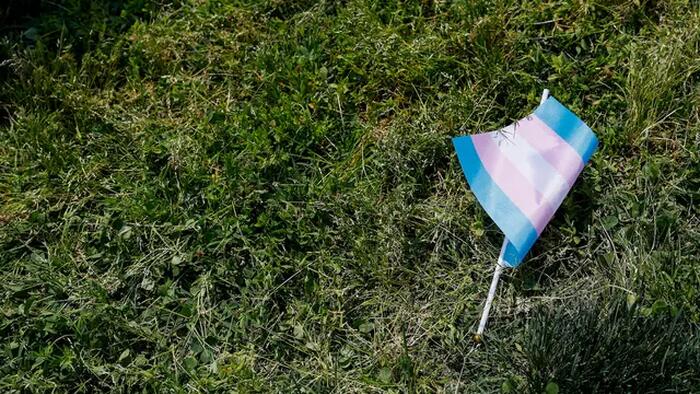 NextImg:Detransitioner Sues Doctors Who Cut Off Her Breasts At 16