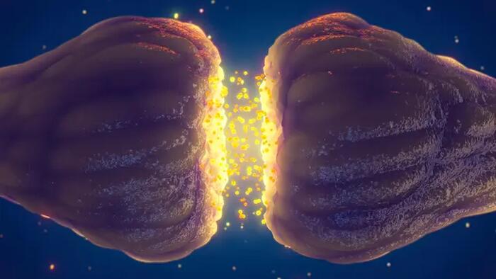 NextImg:'Gut Instinct' Cause For Numerous Sensory Symptoms In Long COVID, Doctors Offer Comprehensive Treatment