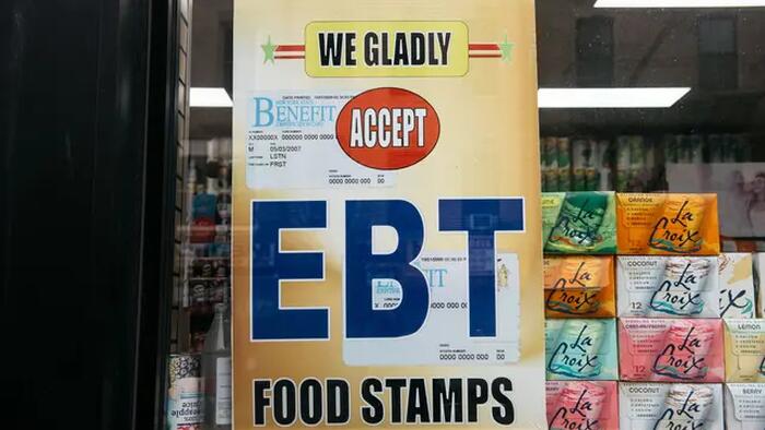 NextImg:Food Stamp Program Losing $1 Billion Every Month To Alleged Fraud, Errors: Sen. Ernst