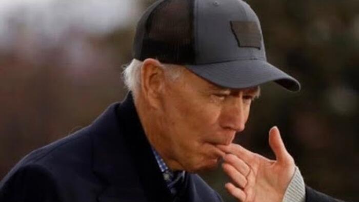 NextImg:Simple Joe: Biden's Biggest Fear Is Being Perceived As 'Stupid' According To Biographer