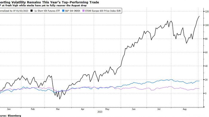 NextImg:Betting Against Fear Has Really Paid Off This Year