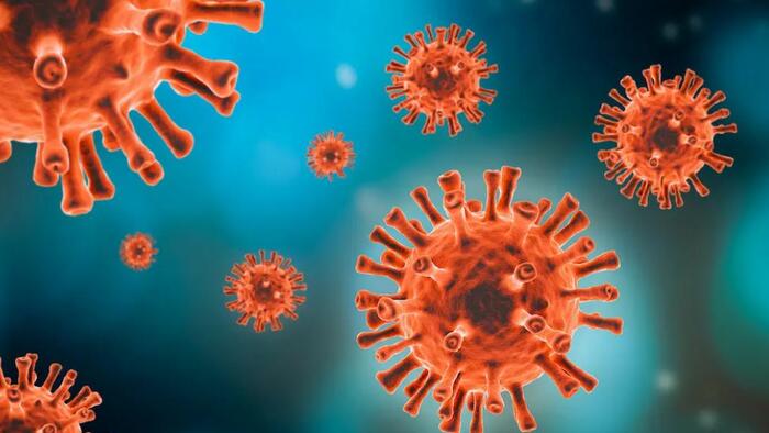 NextImg:New Study Detects Spike Protein 6 Months After COVID-19 Vaccination