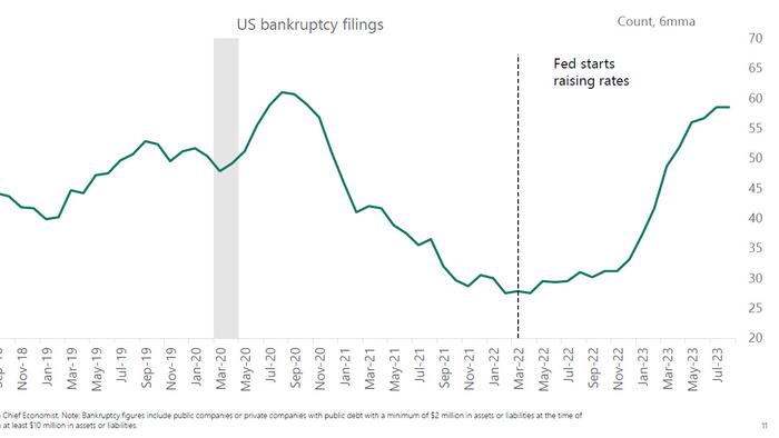 As Bankruptcies Soar, Debt Market Titans Warn "Default Cycle Has Started" - Vimarsana News