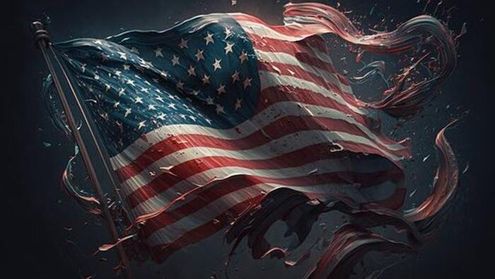 NextImg:This Is Not Freedom, America: The Profit Incentives Driving The American Police State