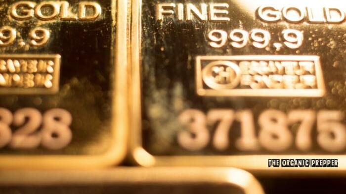 NextImg:Costco Is Selling Out Of Gold Bars. The Economic Crisis Can No Longer Be Hidden...