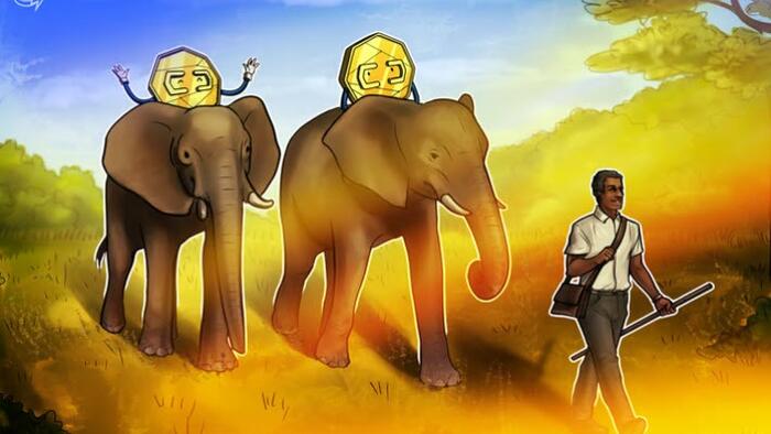 NextImg:Zimbabwe Turns Gold-Backed Digital Token Into Payment Method