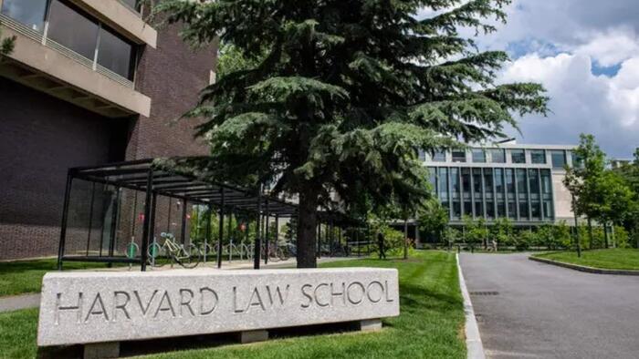 NextImg:Harvard Student Organizations Backtrack On Letter Blaming Israel For Hamas Attack