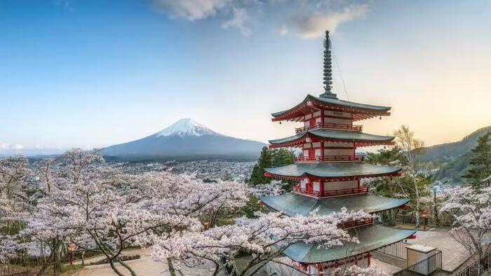 NextImg:Dissident Doctors Versus Blundering Bureaucrats In Japan