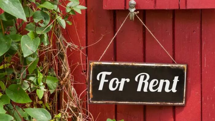 NextImg:Rent Control Is A Disaster - Don't Let It Spread Across The Nation