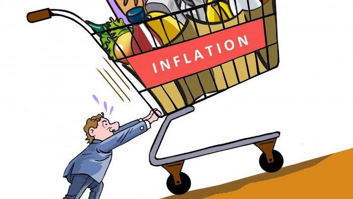 NextImg:How Americans Responded To The Inflation Crisis