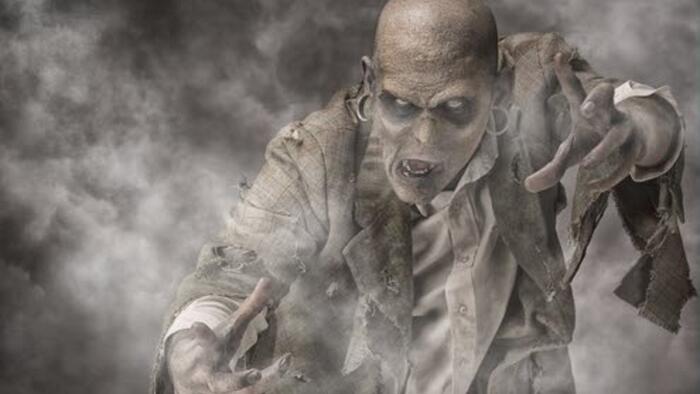 NextImg:Zombie Firms: Navigating The Looming Threat Of Higher Interest Rates