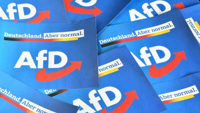 NextImg:The Most Important Poll Yet For Germany's Anti-Immigration AfD Party?