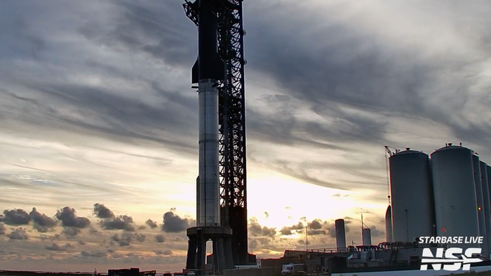 NextImg:Agency Overreach? Musk's Starship Rocket Launch Delayed Over Fish & Wildlife Service's 'Environmental Survey'