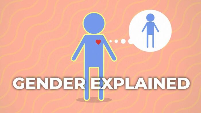 NextImg:Watch: Baseless Gender Ideology Cartoon Now Part Of 4th Grade Curriculum In Wisconsin