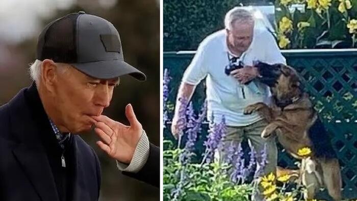 NextImg:Like Father, Like Son? Biden's Dog Ejected From White House After A Dozen Biting Incidents