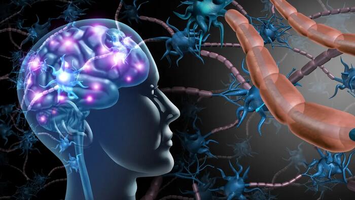 Breakthrough Study 'Infects' Animals With Human Alzheimer's Through Microbiome - Vimarsana News