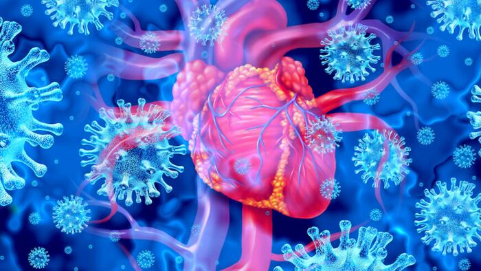 NextImg:Excess Deaths From Cardiovascular Diseases Up 44% Last Year Among UK Citizens Aged 15-44: Report