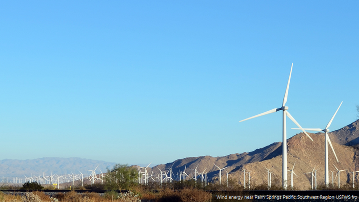 NextImg:Green Movement Still Steamrolling Rational Resistance To Climate Chicanery