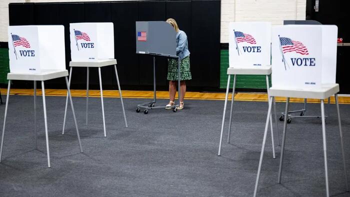 The Non-Citizen Voting Scam - Vimarsana News