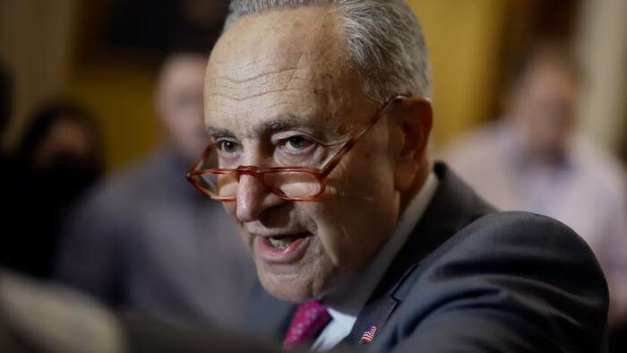 Schumer Asks Why Left Doesn't Stand With Israel In Speech Condemning Anti-Semitism - Vimarsana News