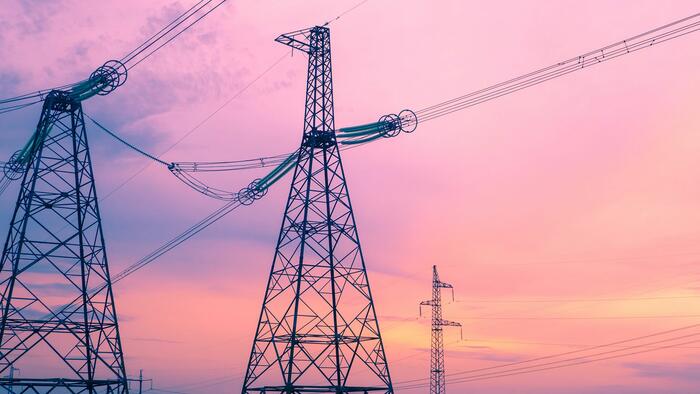 "Extreme Situation": Fat-Finger Trade Sends Finnish Power Prices Crashing Deeply Negative - Vimarsana News