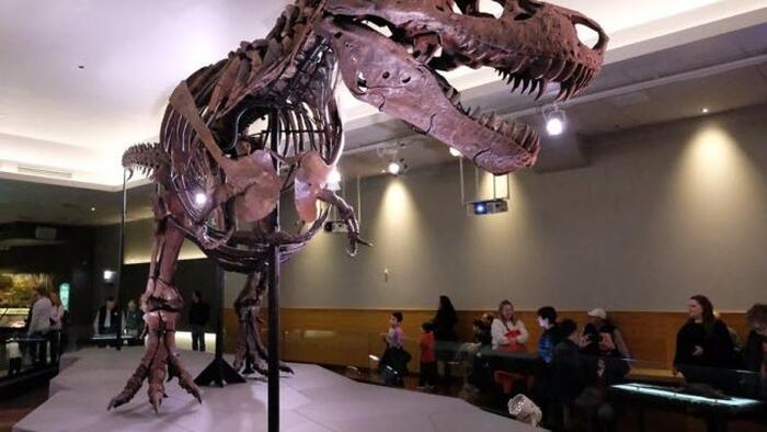 Trannysaurus Rex: The Activist Academics 'Queering' Dinosaurs - Vimarsana News