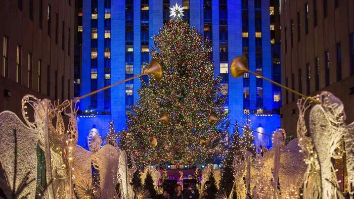 The Grinch Who Overpriced Christmas: Biden's Christmas Tree Inflation - Vimarsana News