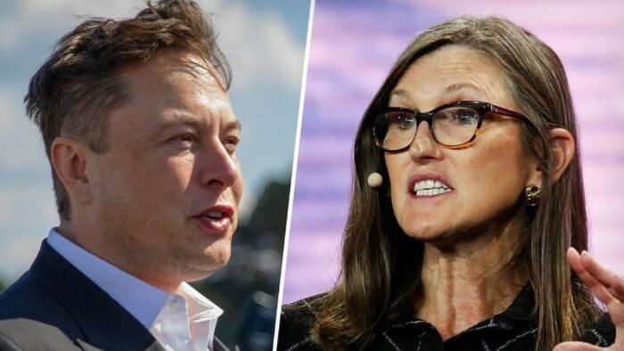 Passive Investing Has "Gone Too Far", Elon Musk Tells Cathie Wood In Wide-Ranging Spaces Interview - Vimarsana News