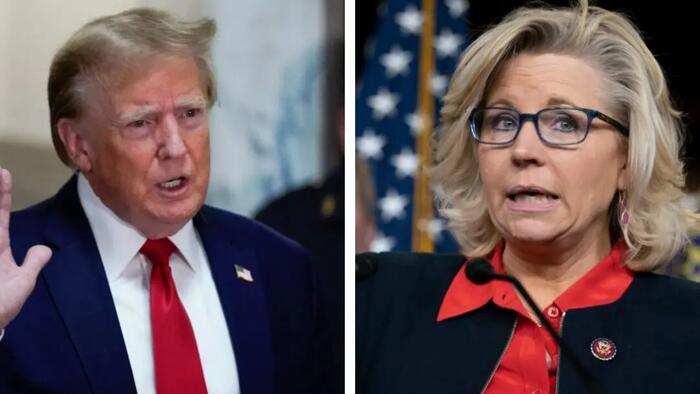 Trump Accuses Liz Cheney Of Destroying Jan. 6 Evidence - Vimarsana News