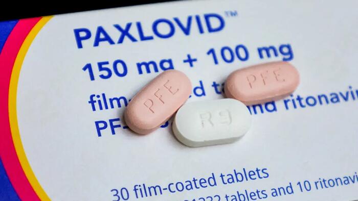 Paxlovid Does Not Reduce Risk Of Long COVID, Potentially Linked To Rebound Symptoms: Study - Vimarsana News