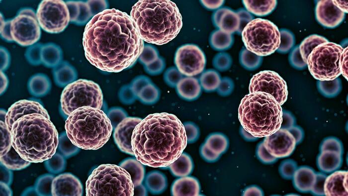 Cancer Cases Expected To Hit Record High In 2024, Experts Explain Potential Causes - Vimarsana News