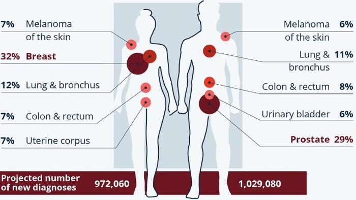NextImg:These Are The Most Common Types Of Cancer In The US