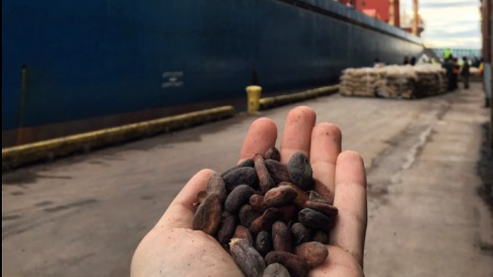 NextImg:Hershey CEO Warns 'Earnings Limited' As Cocoa Prices Hyperinflate