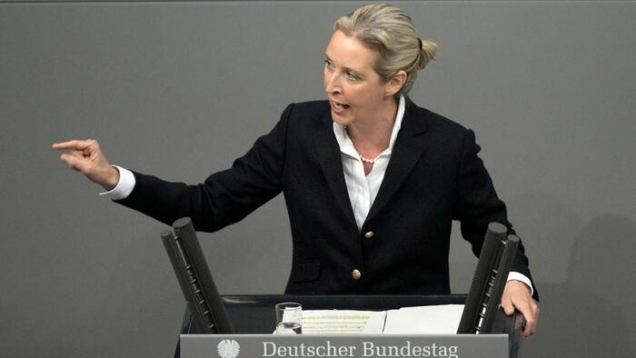 NextImg:German Govt's Witch-Hunt Against AfD Paves Way To Dictatorship