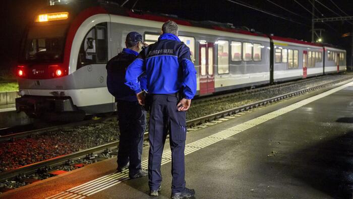 NextImg:Hostage-Taking Iranian Migrant Shot Dead By Swiss Police In Train Incident