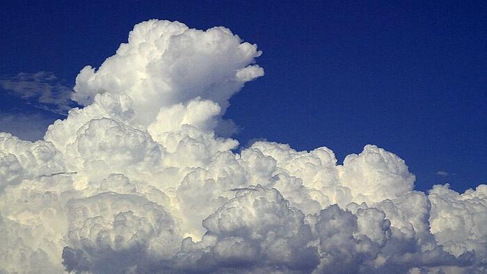 NextImg:Environmentalism Needs A New Playbook