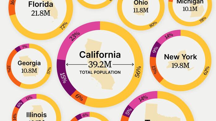 Visualizing Racial Diversity In America's 10 Largest States - Vimarsana News
