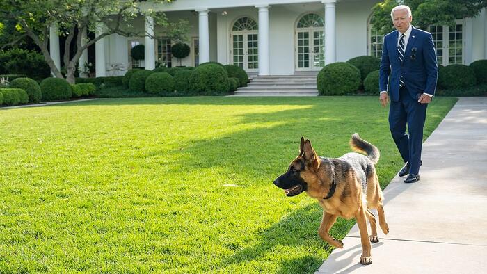 NextImg:Master And Commander: The Biden Dogs Accused Of Dozens Of Additional Attacks At White House