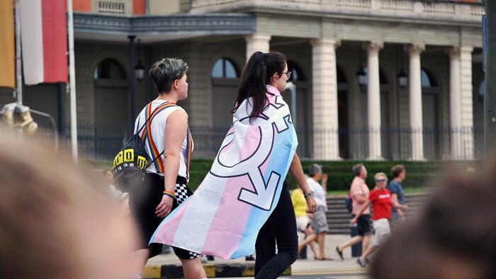 NextImg:Illinois Bill Wants Make It "Child Abuse" For Parents To Object To Gender-Transitioning Of Kids