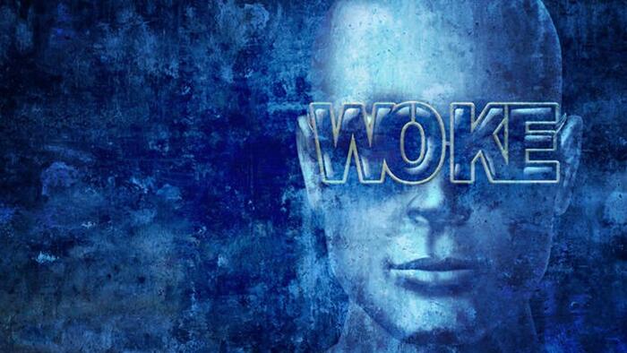 NextImg:How "Wokeness" Took Over