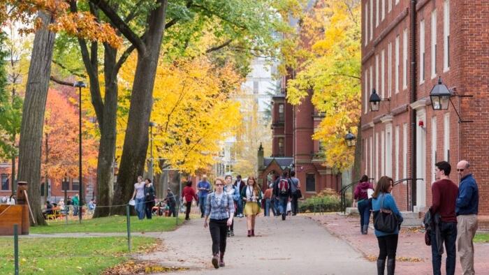 NextImg:Diversity Training Increases Prejudice An "Activates Bigotry" Among Participants, New Study Says