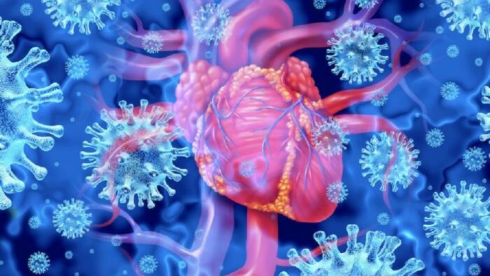 NextImg:Study Finds Increasing Time Between COVID Vaccine Doses Reduces Risk Of Myocarditis, Yet Cardiologists Raise Concerns