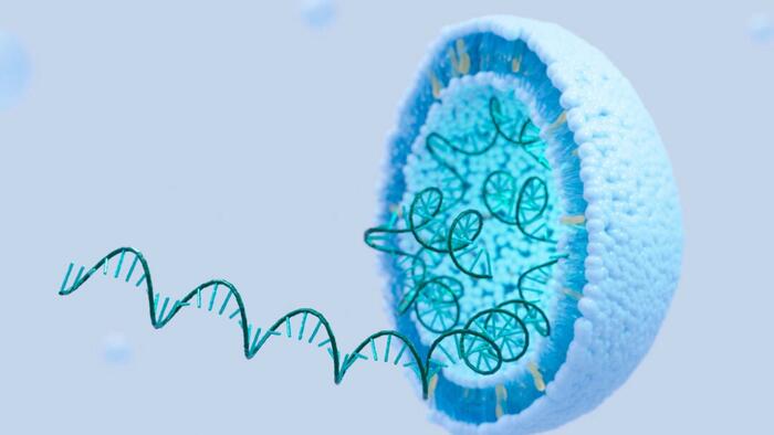 NextImg:COVID Vaccine mRNA Can 'Spread Systemically' To Placenta And Infants Of Women Vaccinated During Pregnancy