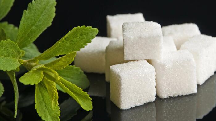 NextImg:Stevia Has Potential Side Effects On Gut Microbiome And Brain, But Experts Explain Bottom Line